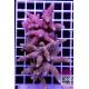 Acropora sp. australia 
